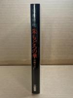 朱もどろの華　沖縄日記