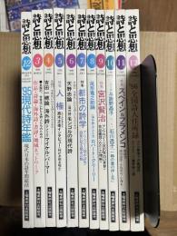 詩と思想 1995年 1～12月号 11冊セット