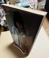 白い青春 染まりゆくとき