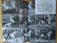 復刻版　岩波写真文庫　　　　　　　　　　
赤瀬川原平セレクション　科学篇全5冊