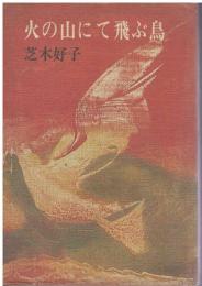 火の山にて飛ぶ鳥