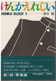 けんかえれじい