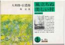 風立ちぬ ; 美しい村：
大和路・信濃路