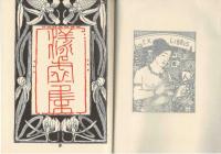 漾虚集