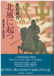 北風に起つ : 継体戦争と蘇我稲目