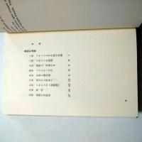 孤独の迷宮　メキシコの文化と歴史　(叢書・ウニベルシタス)