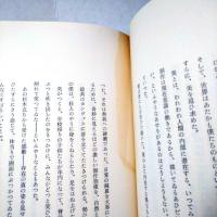 美に生きる　（特装本）　