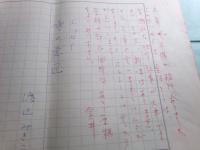 渡辺みきこ草稿「エッセイ 雪の意匠」他48枚
