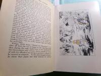 A daughter of the samurai : how a daughter of feudal Japan, living hundreds of years in one generation, became a modern American
