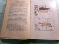 A daughter of the samurai : how a daughter of feudal Japan, living hundreds of years in one generation, became a modern American
