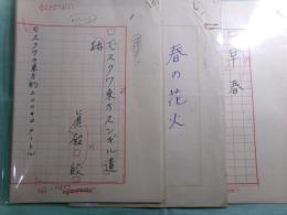 真殿皎詩稿「モスクワ東方スンギル遺跡」他・全17篇52枚