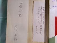 詩と映画・廃虚で拾った鏡 現代芸術論叢書