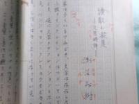 瀬沼茂樹草稿「拡散と凝集--文芸時評」26枚完