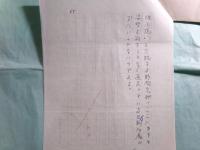 菅野昭正草稿「野間宏作品集 第11巻解説」65枚




　　