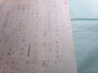 若林眞草稿 「ボーヴォワールの自伝『ものの力』」12枚完