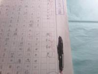 岡松和夫草稿「ブラック・ブラジル」7枚完
　　