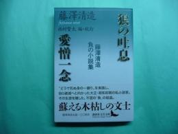 狼の吐息 愛憎一念 藤澤清造負の小説集 講談社文芸文庫
