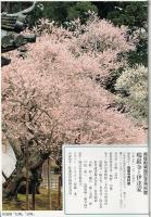 瑞巌寺と伊達家 : 青竜殿開館記念特別展