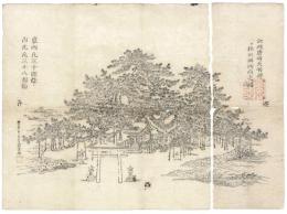 江州唐崎大明神 一ツ松正面西向之図