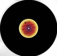 【LPレコード】 YOU CAN'T ARGUE WITH A SICK MIND