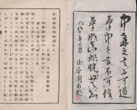 西郷隆盛夢物語