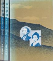 幻の宰相 : 小松帯刀伝