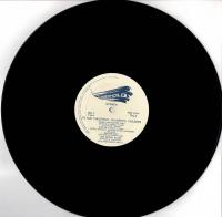 【LPレコード】 To Our Childrens Childrens Children