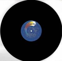 【LPレコード】 A Question of Balance
