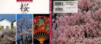 桜 日本の名景