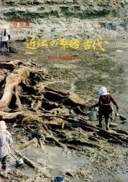 近江の原始・古代 : 最近の発掘調査から 特別展