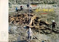近江の原始・古代 : 最近の発掘調査から 特別展