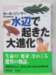 水辺で起きた大進化