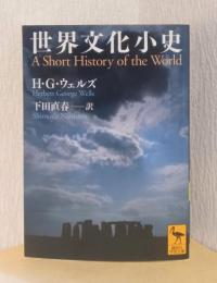 世界文化小史　〈講談社学術文庫〉