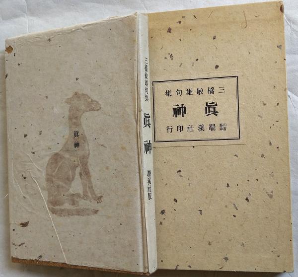 有機的都市論 都市計画におけるパラダイムシフト  /都市文化社/大久保昌一（ハードカバー） 有機的都市論―都市計画におけるパラダイムシフト(大久保昌一