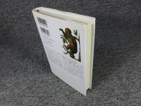 やきもち焼きの土器つくり