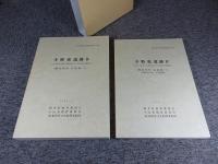 寺野東遺跡4　小山市小山東部工業地造成に伴う埋蔵文化財発掘調査　(縄紋時代 谷部編-1)(縄紋時代 谷部編-2)