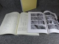 寺野東遺跡4　小山市小山東部工業地造成に伴う埋蔵文化財発掘調査　(縄紋時代 谷部編-1)(縄紋時代 谷部編-2)