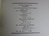 寺野東遺跡4　小山市小山東部工業地造成に伴う埋蔵文化財発掘調査　(縄紋時代 谷部編-1)(縄紋時代 谷部編-2)