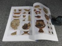 北中谷地遺跡　浪江町埋蔵文化財調査報告 第22冊