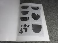 柿の内東遺跡1次、菅原西遺跡1次、川西根成柿遺跡1次 : 発掘調査報告書 : 京奈和自動車道・御所区間建設に伴う埋蔵文化財発掘調査