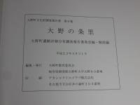 大野の条里　大野町遺跡詳細分布調査報告書　条里編・解説編
