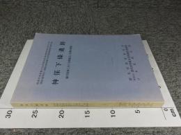 神保下條遺跡　鏑川流域における埴輪出土古墳の調査