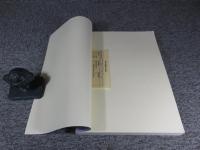 神保下條遺跡　鏑川流域における埴輪出土古墳の調査