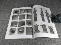 神保下條遺跡　鏑川流域における埴輪出土古墳の調査