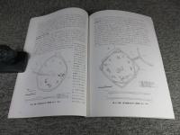 美濃山廃寺 (第8次) ・美濃山廃寺下層遺跡 (第11次) 発掘調査報告書