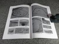 美濃山廃寺 (第8次) ・美濃山廃寺下層遺跡 (第11次) 発掘調査報告書