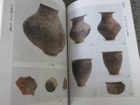 安満遺跡発掘調査報告書　雨水貯留施設・高槻こども未来館建設に伴う発掘調査