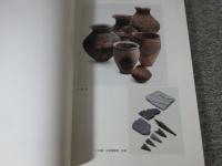 安満遺跡確認調査報告書 : 平成20・21・22年度京大農場内確認調査