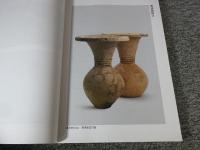 安満遺跡確認調査報告書　その2 : 平成26・27・28年度農場北側地区