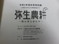 弥生農耕　田んぼとはたけ
